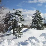 Don Diego Bed & Breakfast Linguaglossa