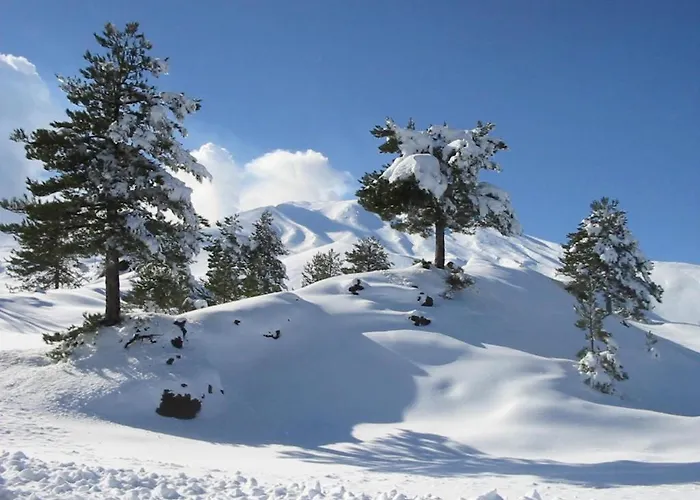 Don Diego 住宿加早餐酒店